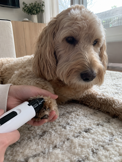 Baby Paws Nail Grinder